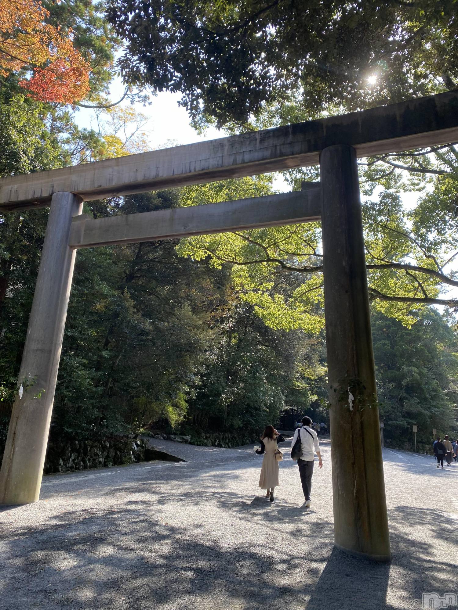 ��ˬ����Х��顦�����CLUB Red(����� ��å�) ��2023ǯ11��4���̥�֥����ְ������ܤ�⛩️🙏🇯🇵��