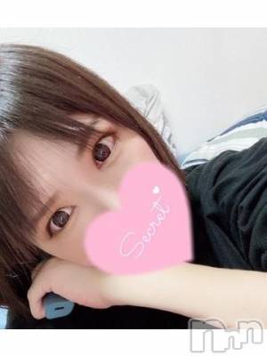 長岡デリヘル 奥様特急 長岡店(オクサマトッキュウナガオカテン) あんな(36)の3月12日写メブログ「おはようございます🥰今日からよろしくお願いします🙇🏻‍♀️🙇🏻‍♀️🙇🏻‍♀️」