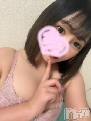 新潟ソープ 新潟バニーコレクション(ニイガタバニーコレクション) セイナ(21)の1月10日写メブログ「ほぼ後半！」