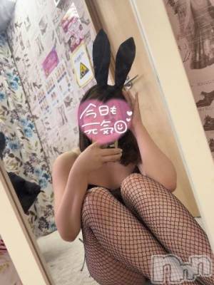 新潟ソープ 新潟バニーコレクション(ニイガタバニーコレクション) セイナ(21)の3月13日写メブログ「シちゃった💦」