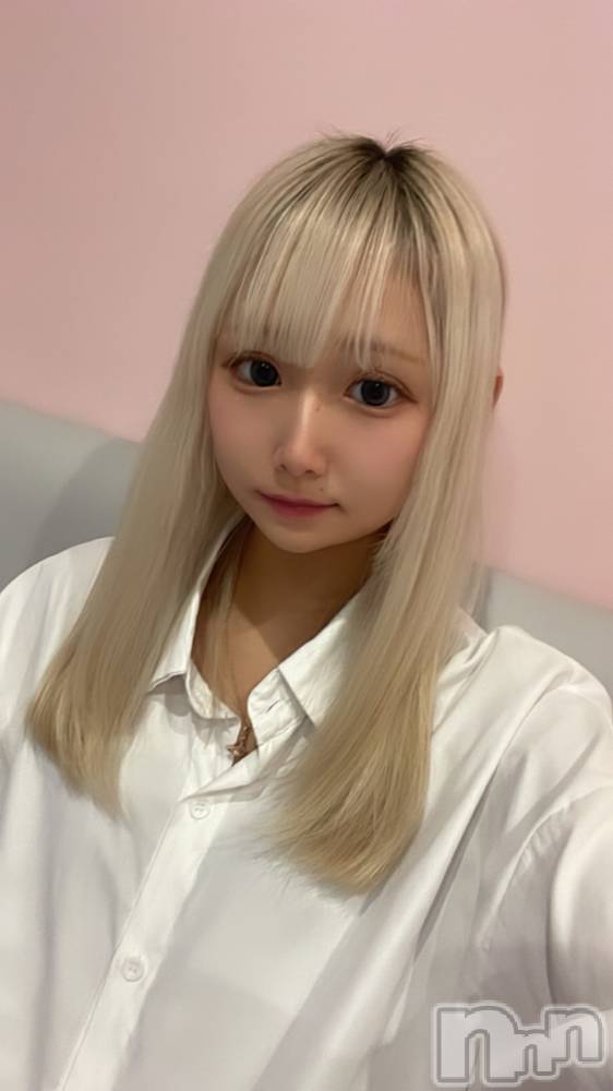 ʥå륺СLAPLUS(ץ饹) ʤ86̥֥1ǯФä衪