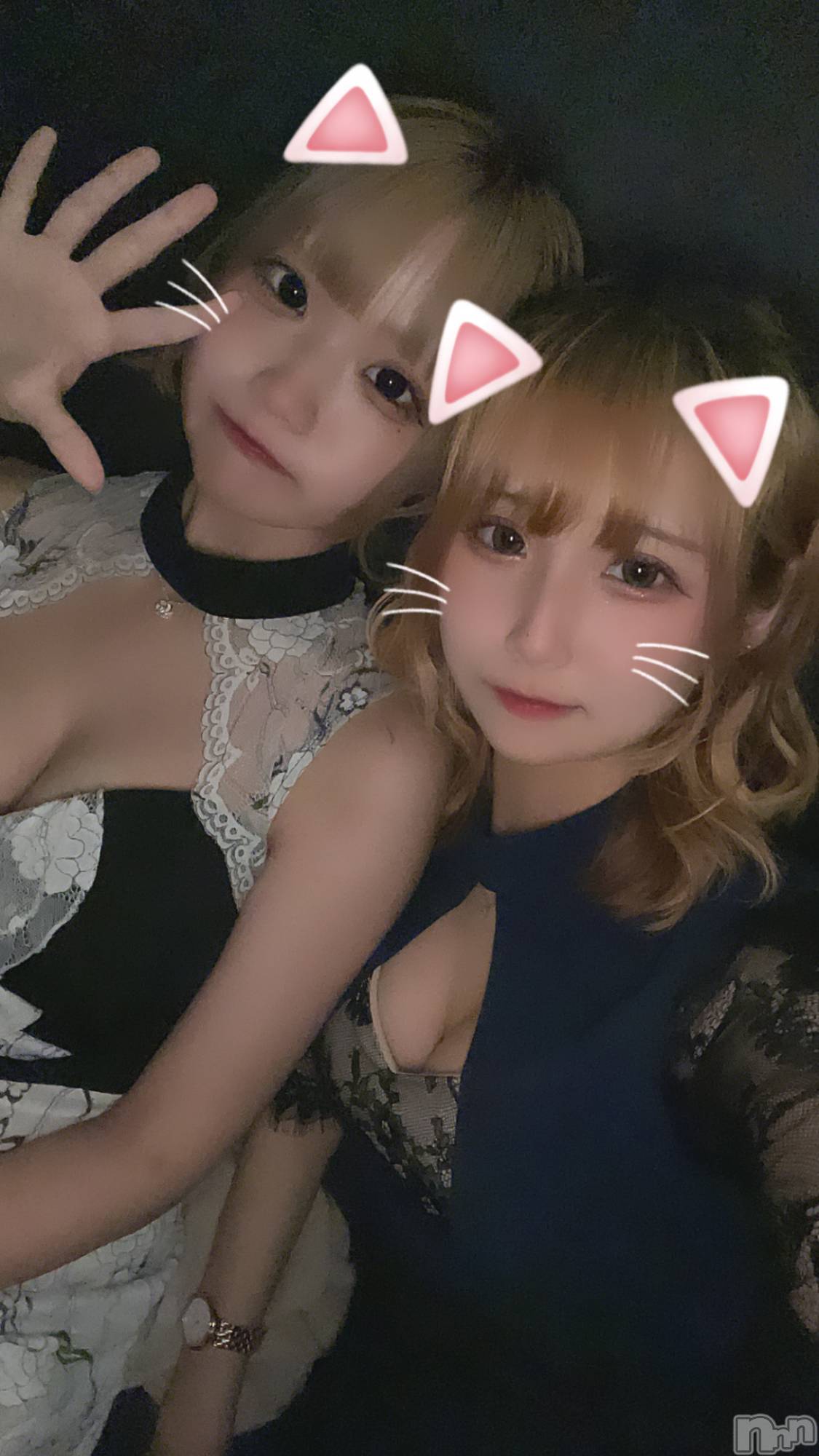 ʥå륺СLAPLUS(ץ饹) 2023ǯ814̥֥֤Ф