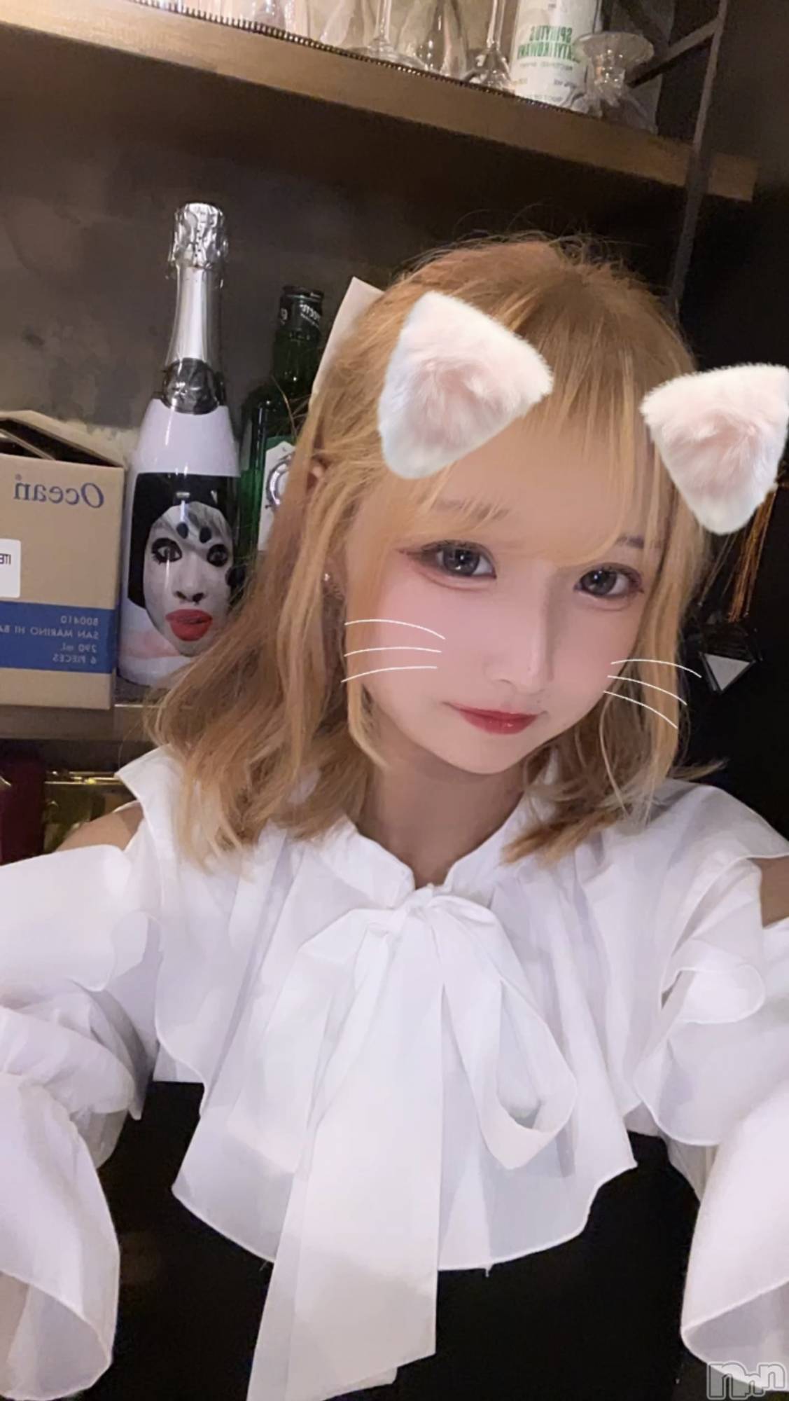 ʥå륺СLAPLUS(ץ饹) 2023ǯ97ִ̥֥😊