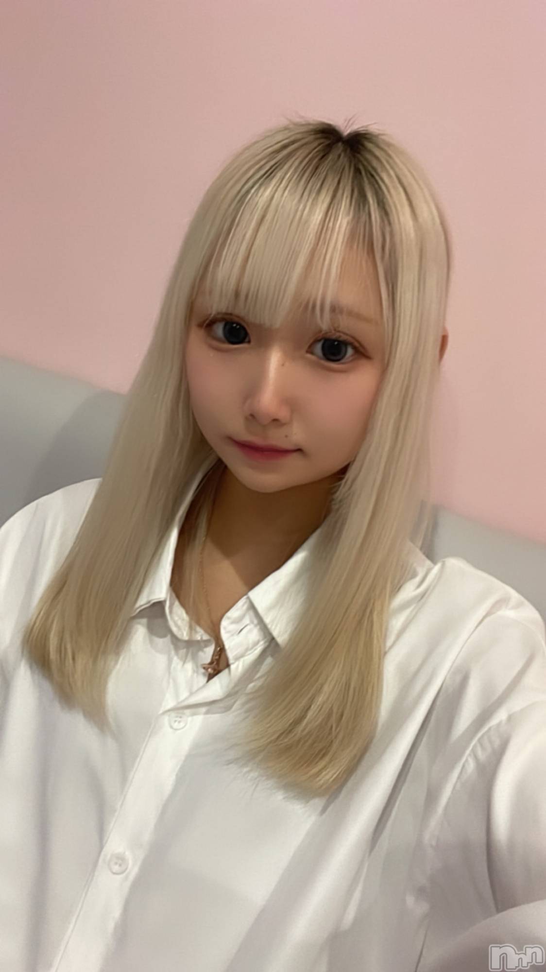 ʥå륺СLAPLUS(ץ饹) 2024ǯ86̥֥1ǯФä衪