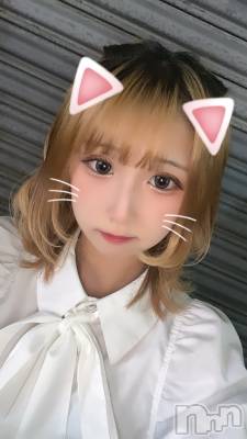 ʥå륺СLAPLUS(ץ饹) (21)815̥֥֤ߤƤߤ~