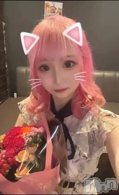 ʥå륺СLAPLUS(ץ饹) (21)1024̥֥֤꤬Ȥ😊