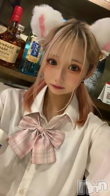 ʥå륺СLAPLUS(ץ饹) (21)1127̥֥ͽΩƤ衼