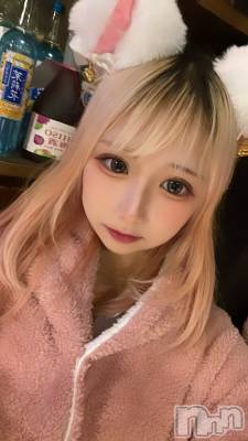 ʥå륺СLAPLUS(ץ饹) (21)124̥֥12衼