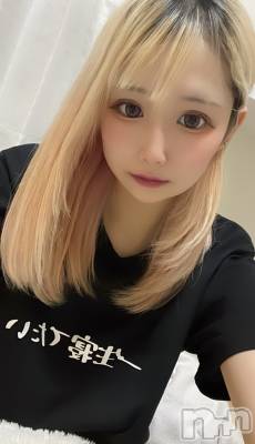 ʥå륺СLAPLUS(ץ饹) (21)1221̥֥֤äʥץ쥼🎁