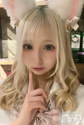 ʥå륺СLAPLUS(ץ饹) (21)429̥֥֤1֡