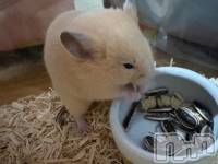 おはよー🥺✨✨