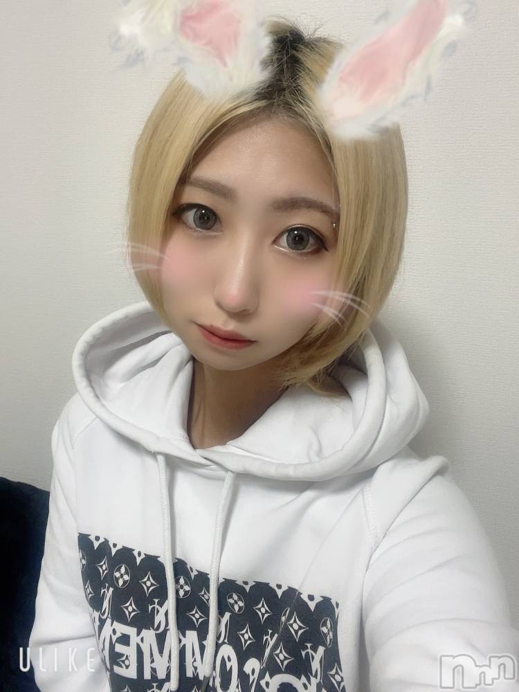 Įʥå륺СL'asile(饸) 椦1125̥֥🐰🥕‎🤍