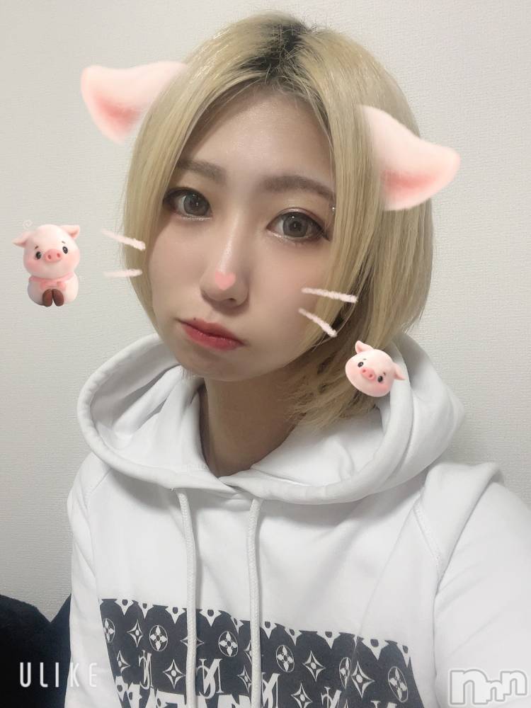 Įʥå륺СL'asile(饸) 椦1127̥֥🐷🐽🍒