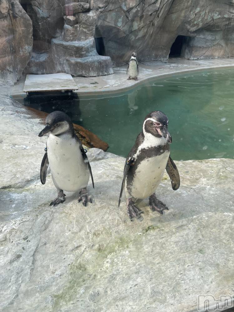 ��Į���ʥå��������륺�С�L'asile(�饸����) �椦����3��26���̥�֥�����3��26�� 22��27ʬ�Υ֥�����