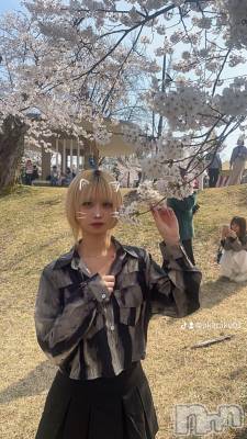 Įʥå륺СL'asile(饸) 椦(25)418̥֥418 2244ʬΥ֥