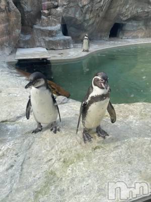 ��Į���ʥå��������륺�С�L'asile(�饸����) �椦��(25)��3��26���̥�֥�����3��26�� 22��27ʬ�Υ֥�����