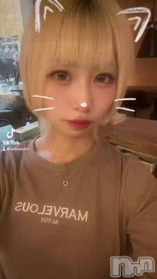 65 2103ʬΥ֥