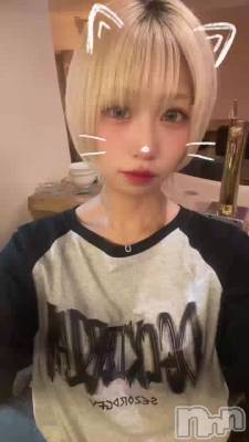 103 2051ʬΥ֥