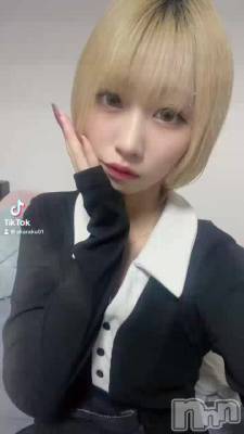 419 2040ʬΥ֥