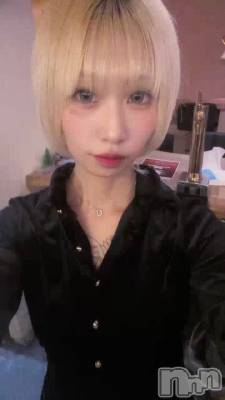 12��19�� 21��02ʬ�Υ֥���