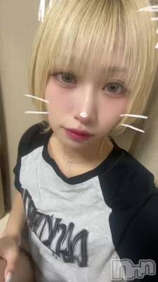 81 1954ʬΥ֥