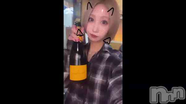 1229 2055ʬΥ֥
