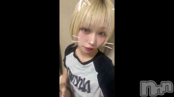 81 1954ʬΥ֥