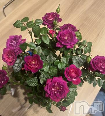 Х顦club eterhasa(֥) (25)512̥֥Mothers day