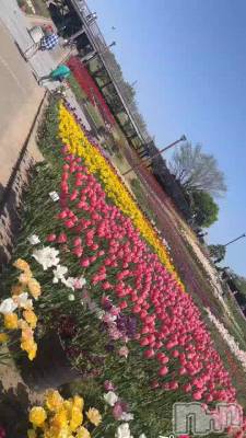 塼ä🌷