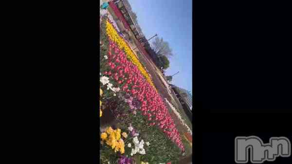 ֤塼ä&#x1F337;