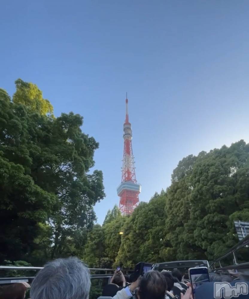 ʥå륺СʥåBar Peace(ʥåС ԡ) Ĥ59̥֥֤