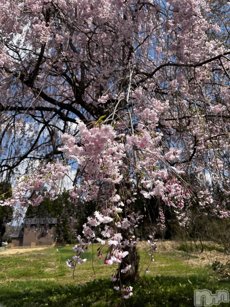 ʥå륺СʥåBar Peace(ʥåС ԡ) Ĥ426̥֥֤ޤ餤Ƥ🥰