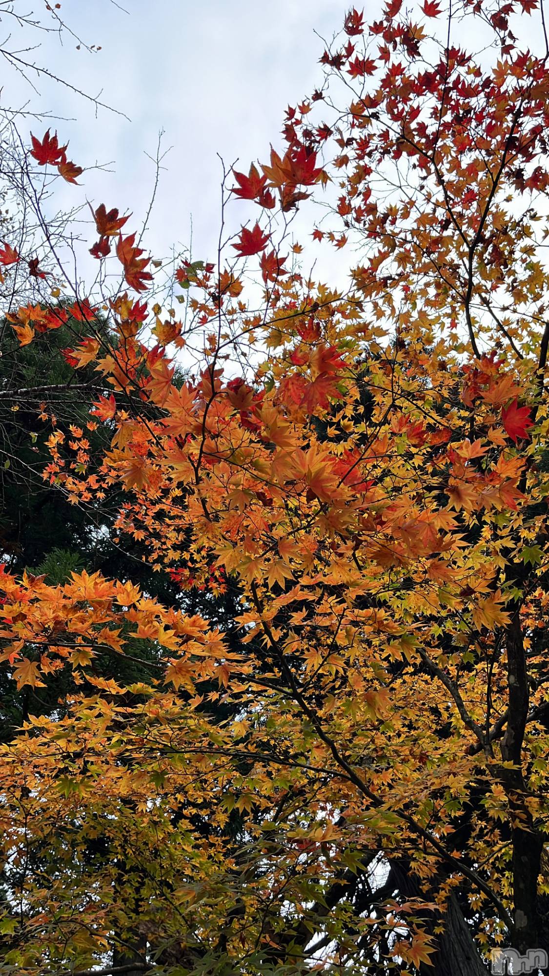 ʥå륺СʥåBar Peace(ʥåС ԡ) 2023ǯ118̥֥🍁··