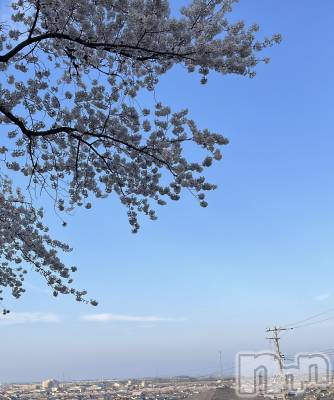 ʥå륺СʥåBar Peace(ʥåС ԡ) Ĥ416̥֥416 1508ʬΥ֥