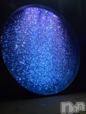 新潟デリヘル すずらん新潟店～ゆっくり長い時間を過ごせるお店～(スズランニイガタテン) 佐久間りん(30)の12月12日写メブログ「生まれたときは違う姿🪼」