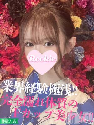 みあ☆完全濡れ体質の綺麗系美女(20) 身長156cm、スリーサイズB88(F).W56.H85。長岡デリヘル ROOKIE(ルーキー)在籍。