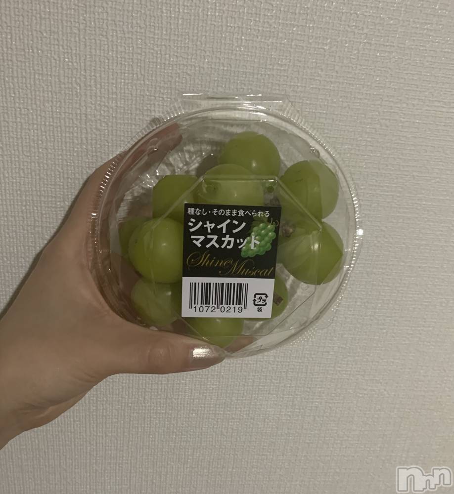 ʥå륺СʥåBar Peace(ʥåС ԡ) 105̥֥🩵