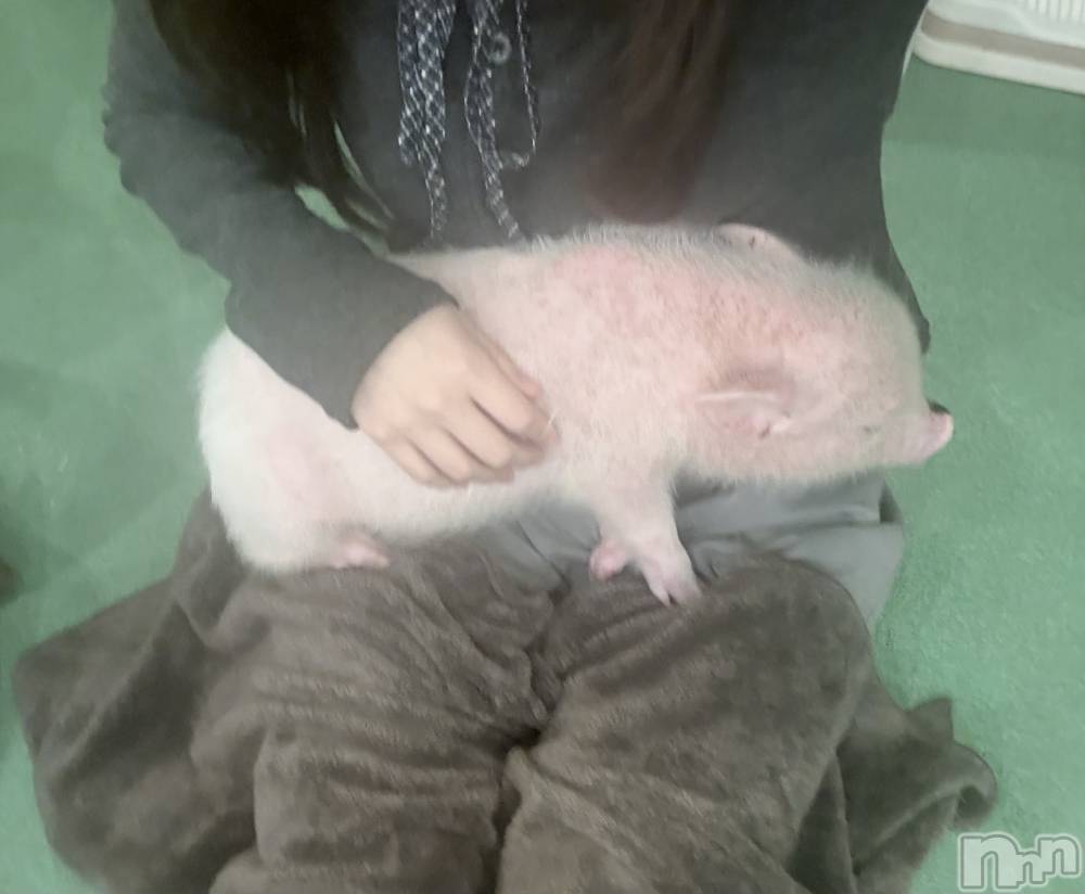 ʥå륺СʥåBar Peace(ʥåС ԡ) 1114̥֥֤֤