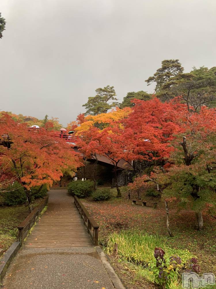 ʥå륺СʥåBar Peace(ʥåС ԡ) 1115̥֥֤줤ꯁꯧ