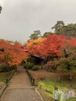 ʥå륺СʥåBar Peace(ʥåС ԡ) 1115̥֥֤줤ꯁꯧ