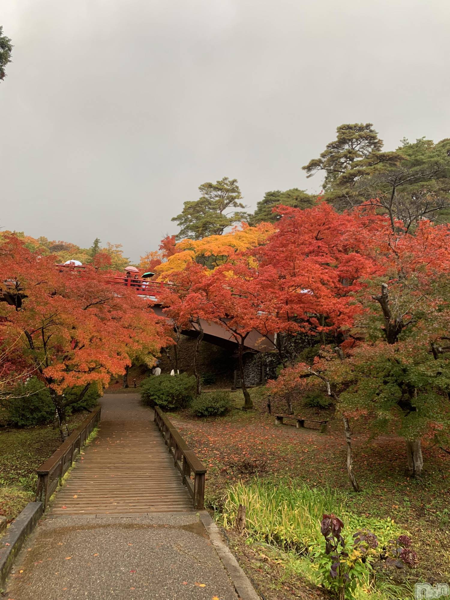 ʥå륺СʥåBar Peace(ʥåС ԡ) 2025ǯ1115̥֥֤줤ꯁꯧ