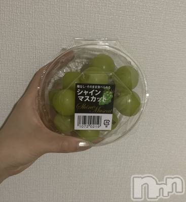 ʥå륺СʥåBar Peace(ʥåС ԡ) 105̥֥🩵