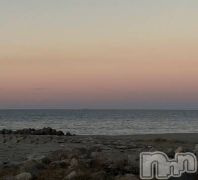 ʥå륺СʥåBar Peace(ʥåС ԡ) 1117̥֥ꯁꯧ