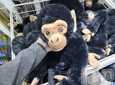 ����������ʥå��������륺�С����ʥå�Bar Peace(���ʥå��С� �ԡ���) ����1��23���̥�֥�����🍀*��( ᴗˬᴗ)��