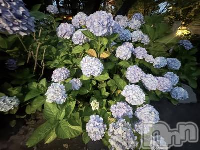 ����������ʥå��������륺�С����ʥå�Bar Peace(���ʥå��С� �ԡ���) ����7��8���̥�֥�����🌧️��