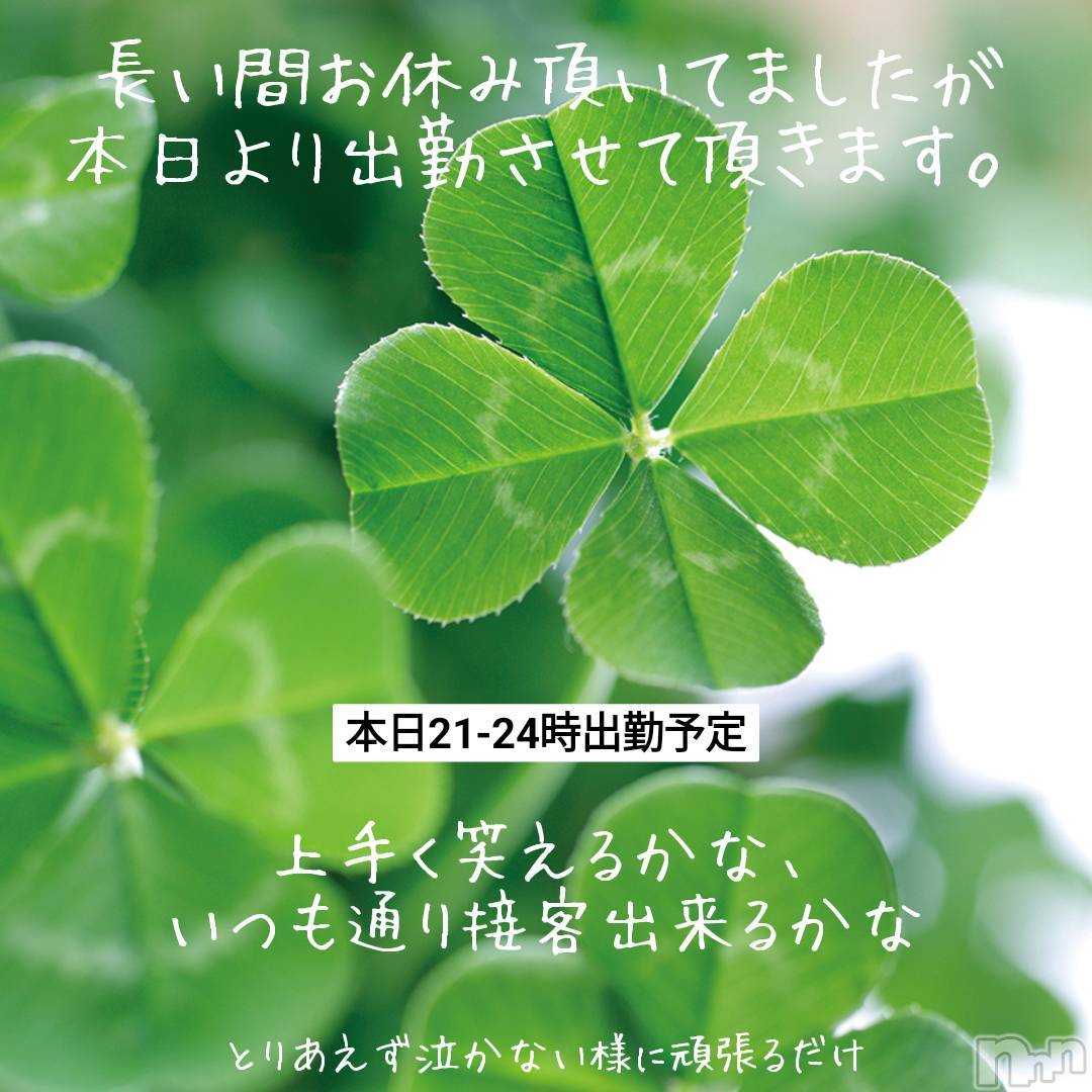 ƲС㤭MILKYHEART(ߥ륭ϡ) 2023ǯ117̥֥