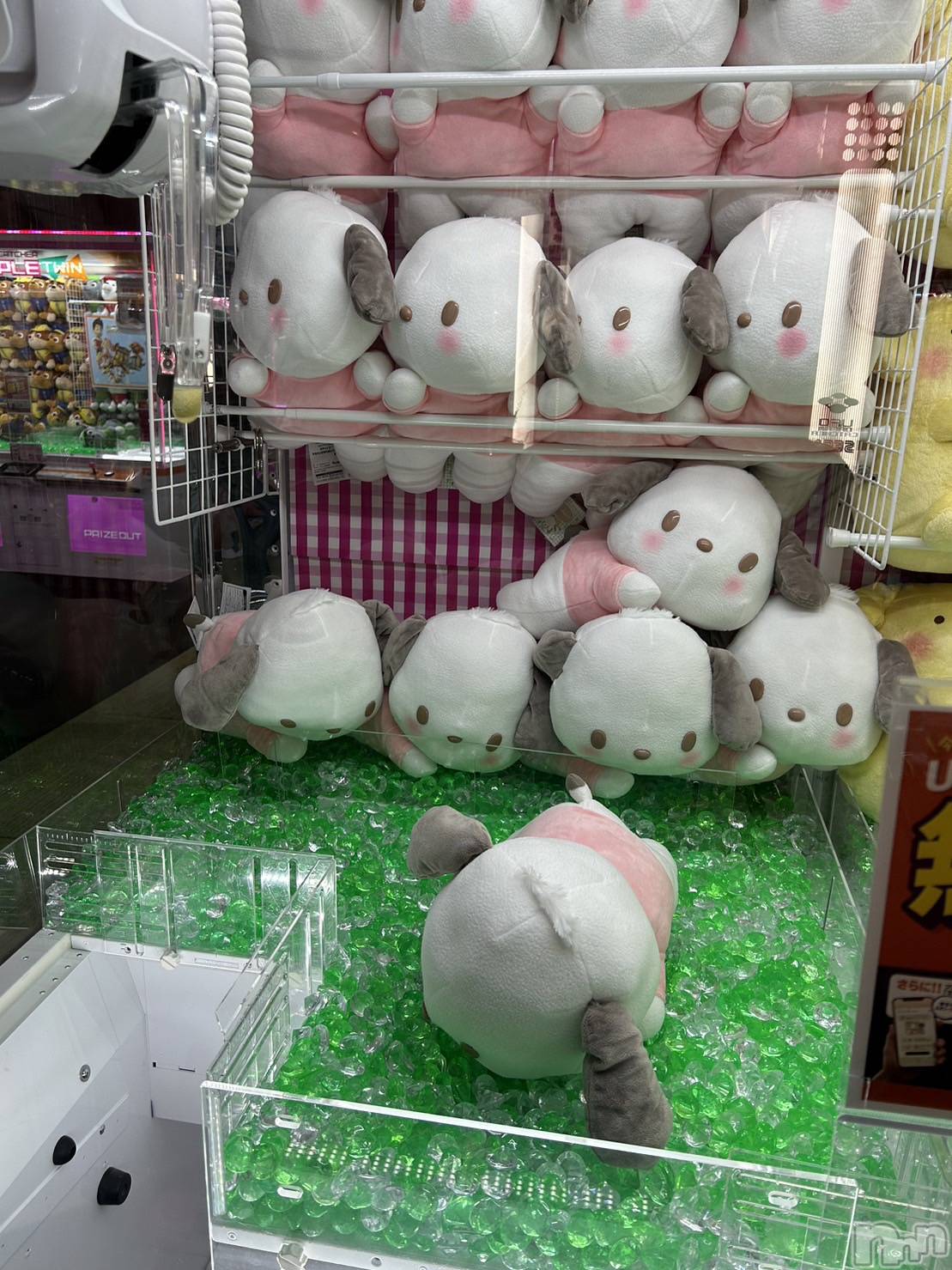 ƲС㤭MILKYHEART(ߥ륭ϡ) 2023ǯ913ֿ̥֥ͤ♥️
