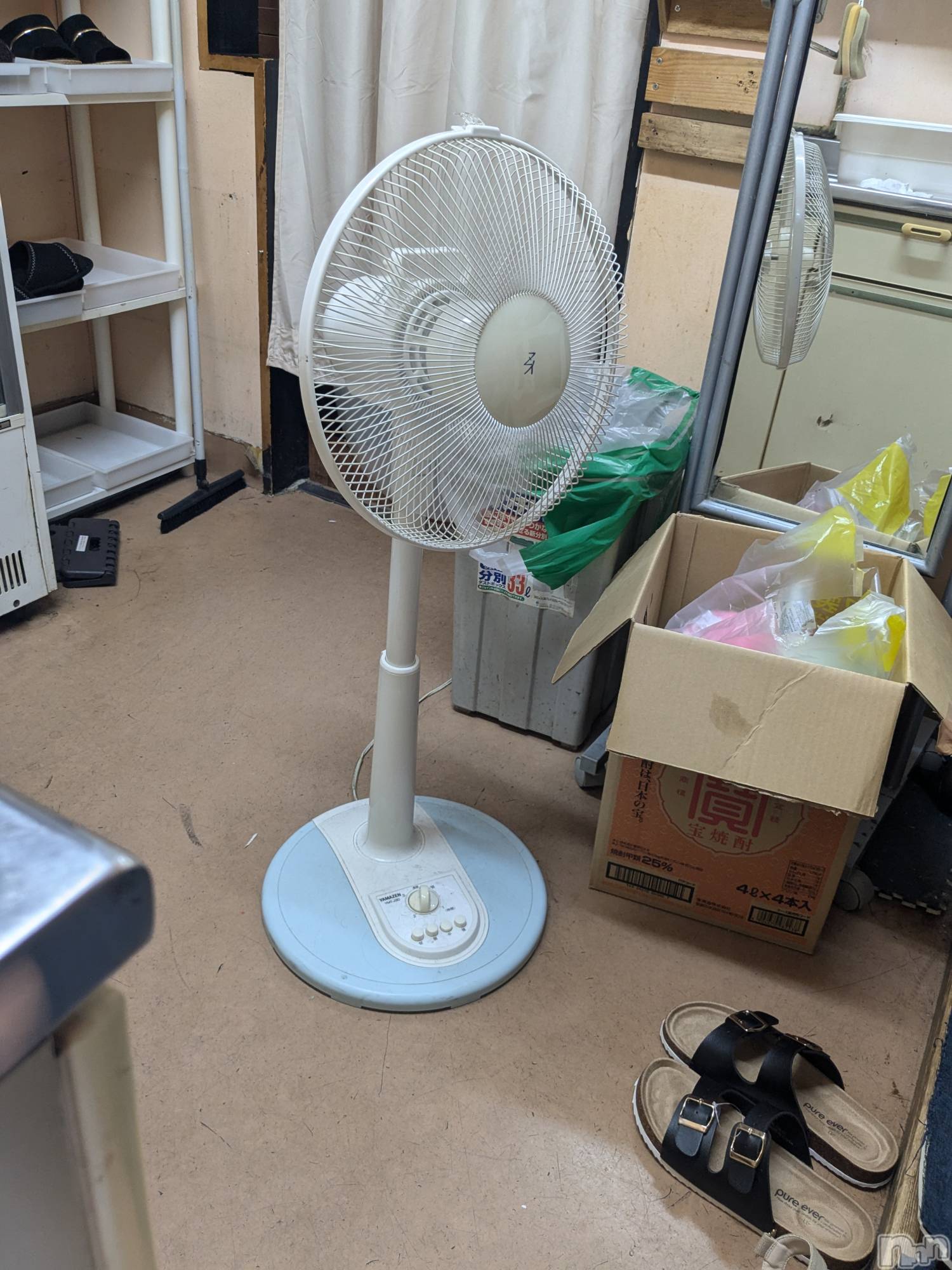 ƲС㤭MILKYHEART(ߥ륭ϡ) 2024ǯ88ֻ̥֥ǰġ