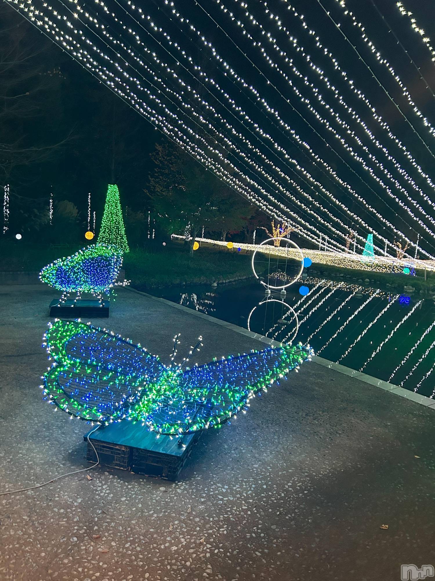 ƲС㤭MILKYHEART(ߥ륭ϡ) 2024ǯ115̥֥֥ߥ͡