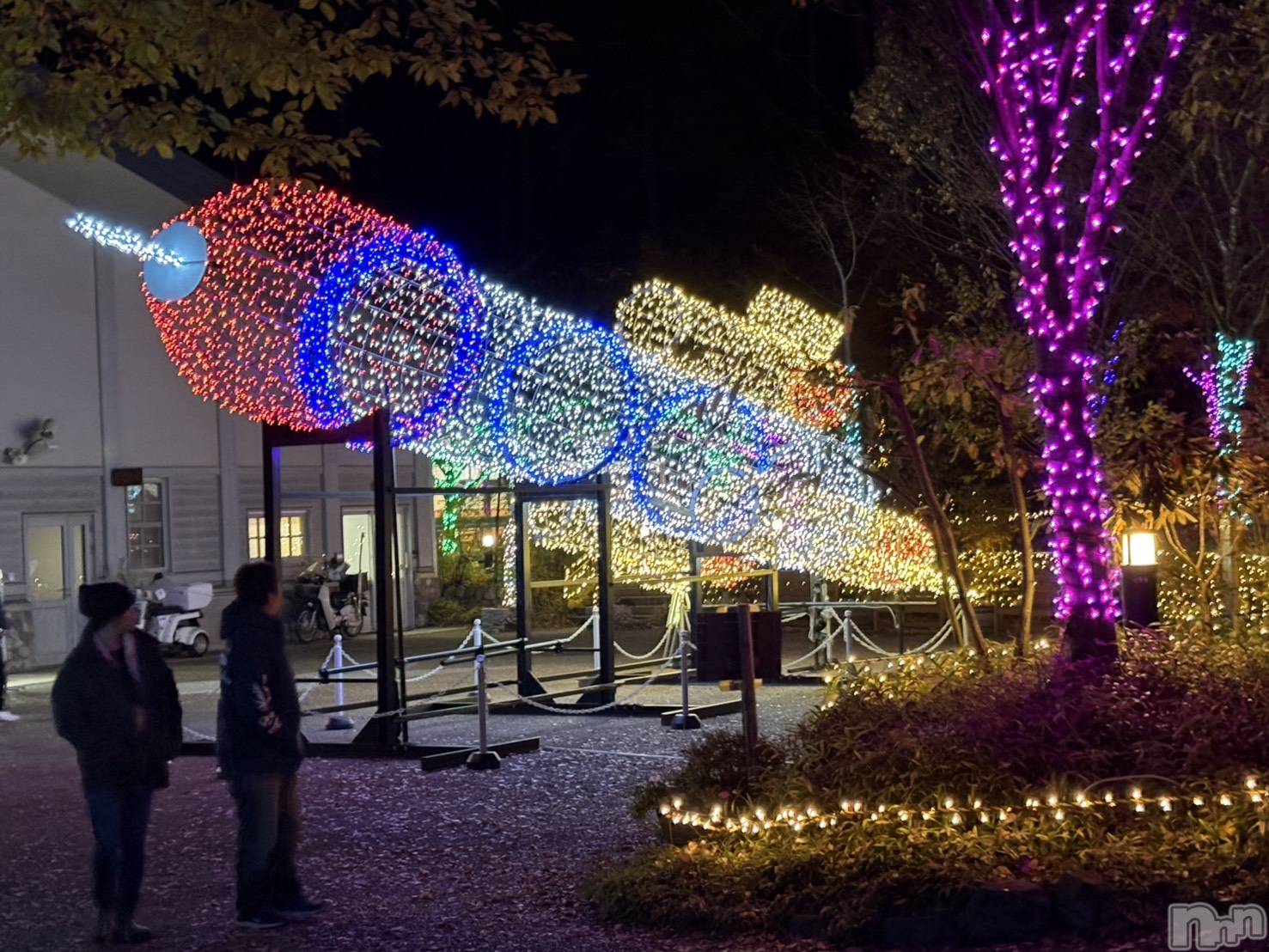 長野おっパブMILKYHEART(ミルキーハート)楓の2025年11月18日写メブログ「イルミネーション♪」